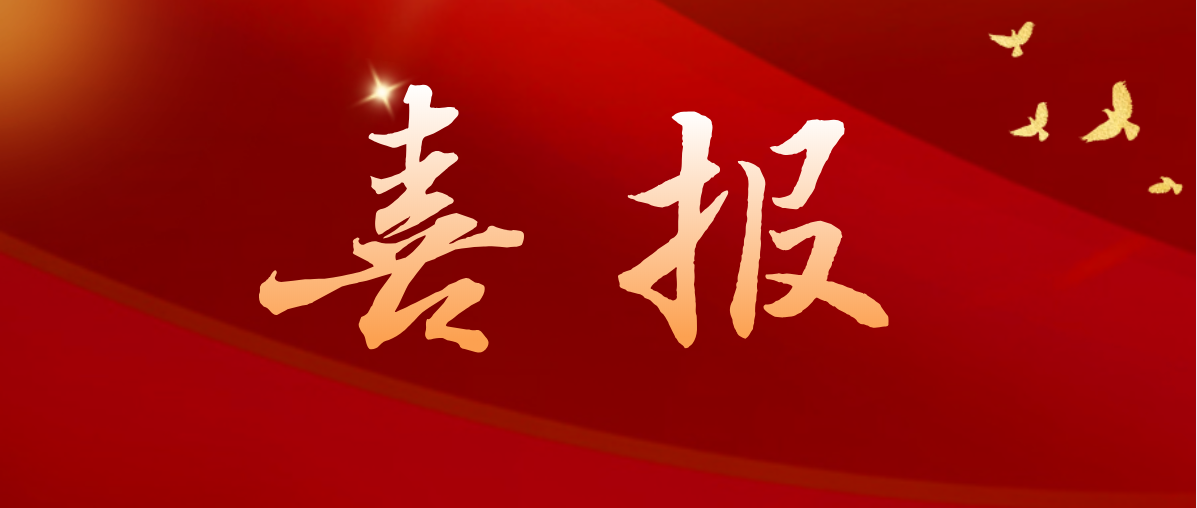 喜报！公司蝉联南京市金融统计工作优秀单位